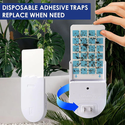 GlowTrap Pro